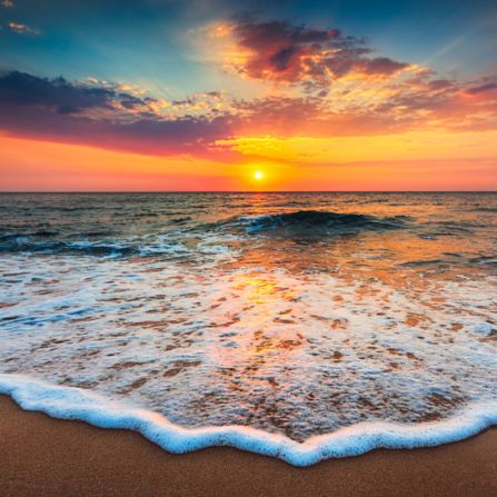 Get details about Contact Us